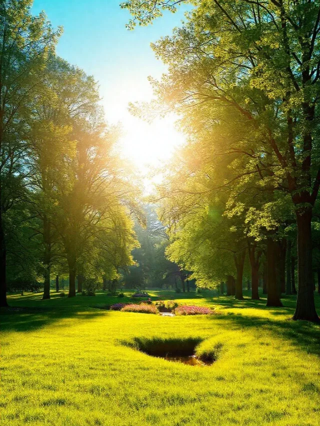 Descubra Como a Reabilitação Auditiva Pode Transformar Sua Vida!